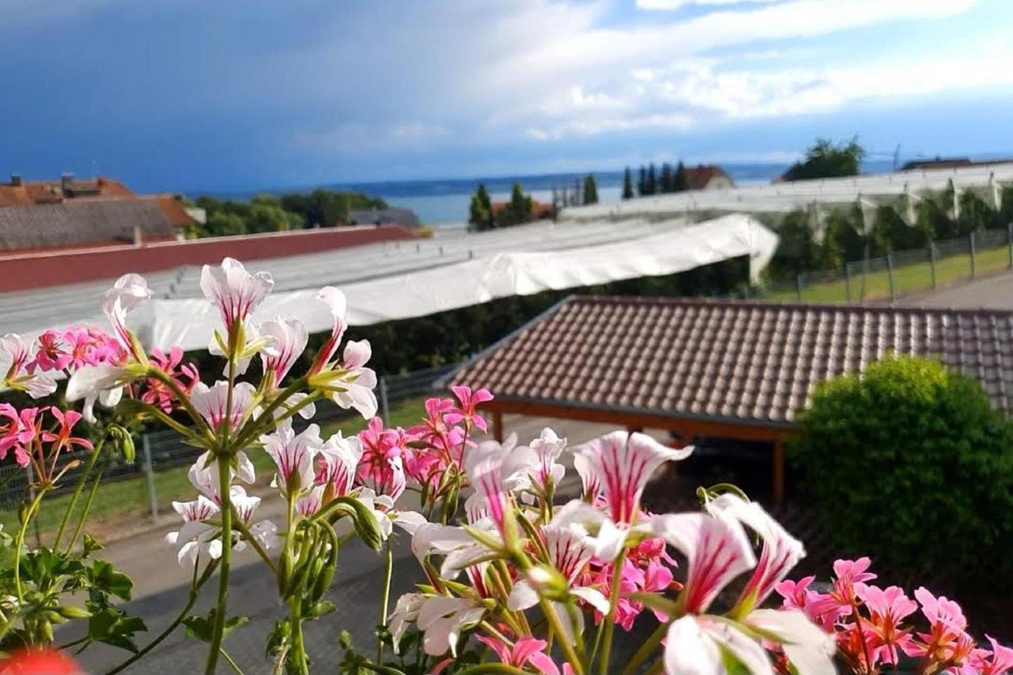 Holiday Home Ferienwohnung Holiday Home 4 梅尔斯堡 外观 照片